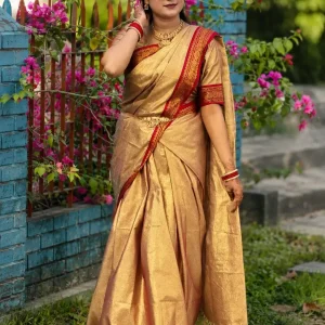 লামা-সিল্ক শাড়ি (প্রিমিয়াম) 2 Pis